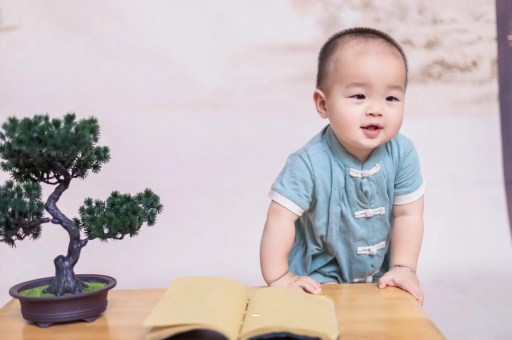 恩施可爱的企鹅宝宝